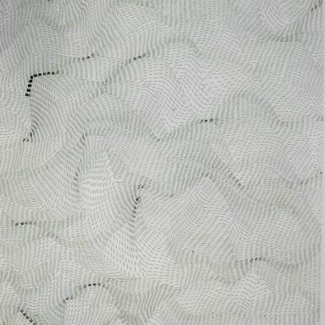 EDOARDA   DADAMAINO  biografia artista