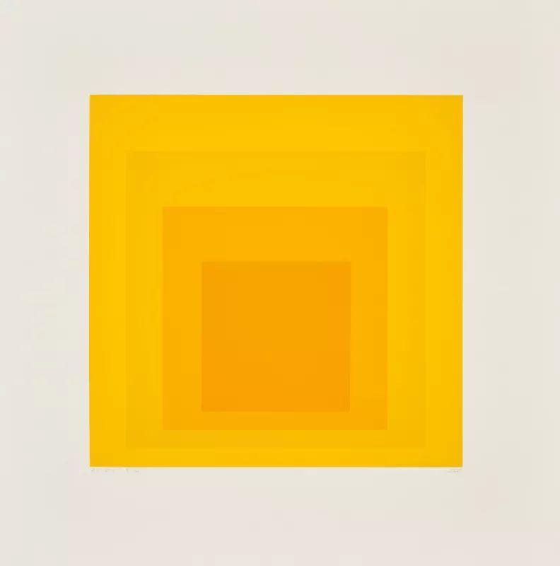 Homage to the Square  JOSEF   ALBERS 